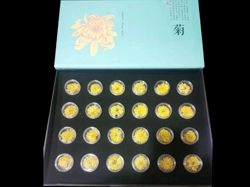 怀菊冰菊
